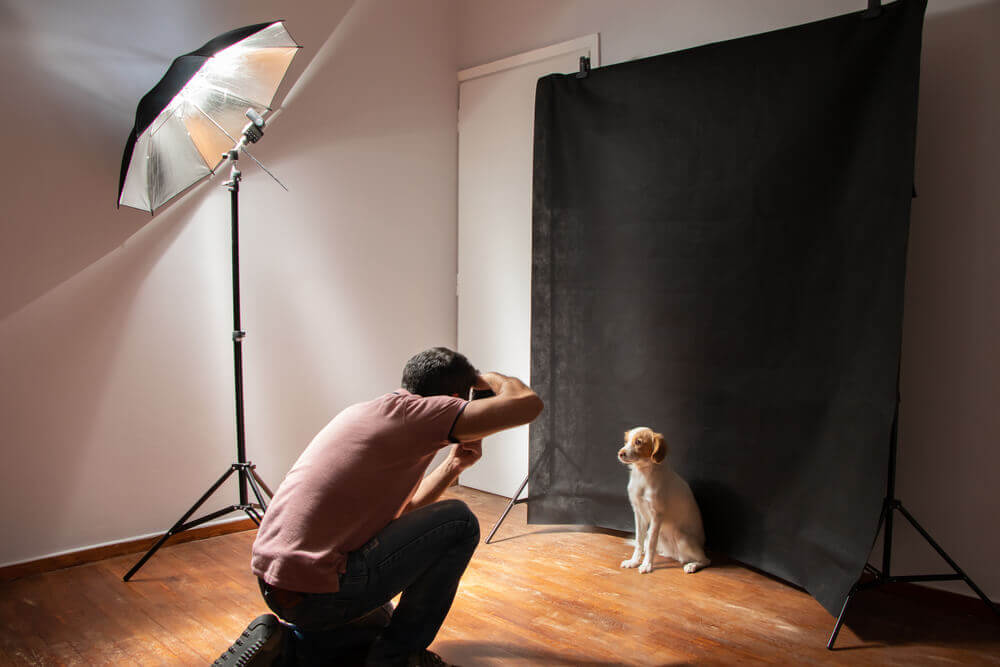 photography backdrop curtains