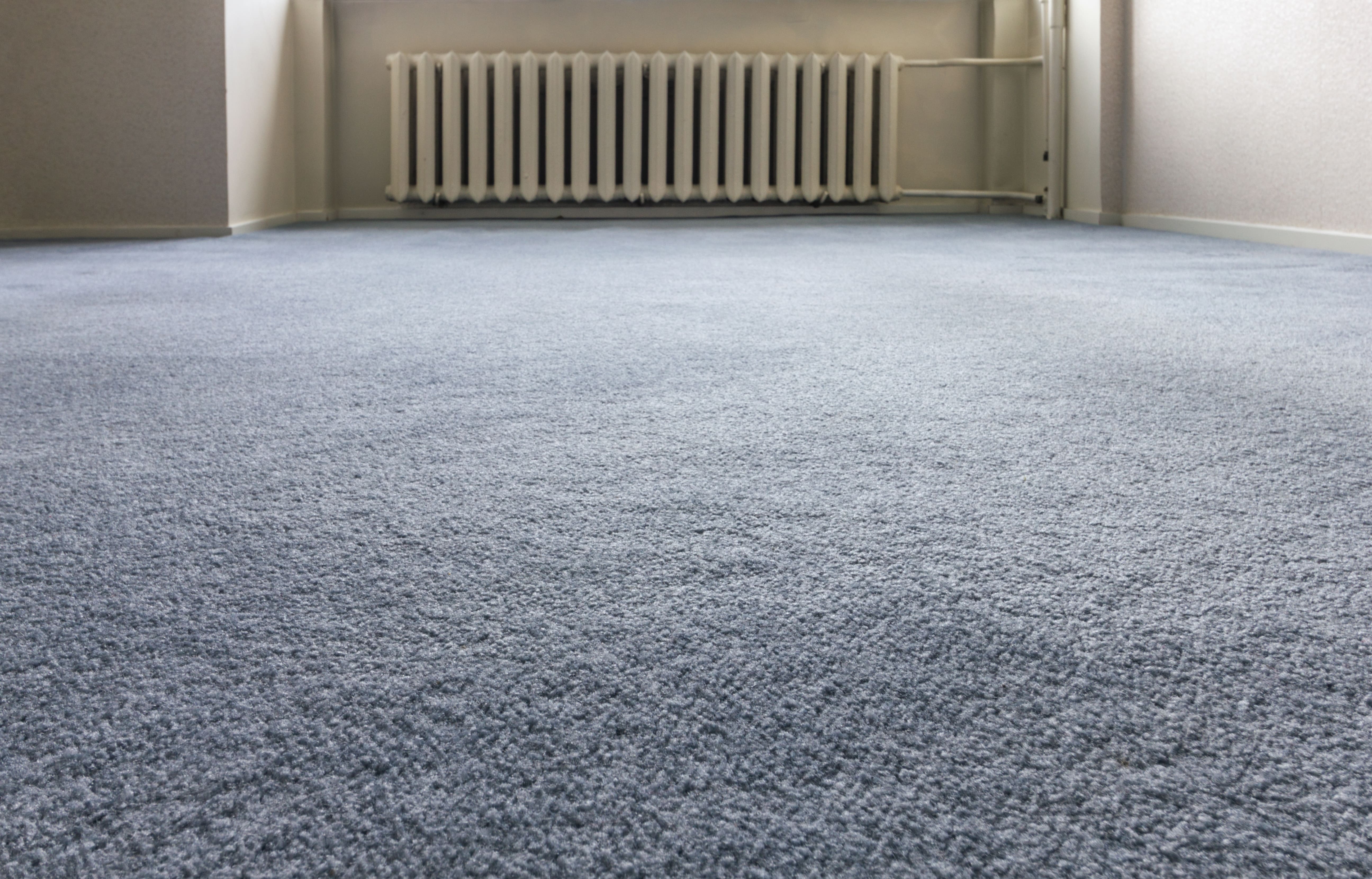 What Color Walls Go Good With Grey Carpet What Color Walls Go Good With Grey Carpet