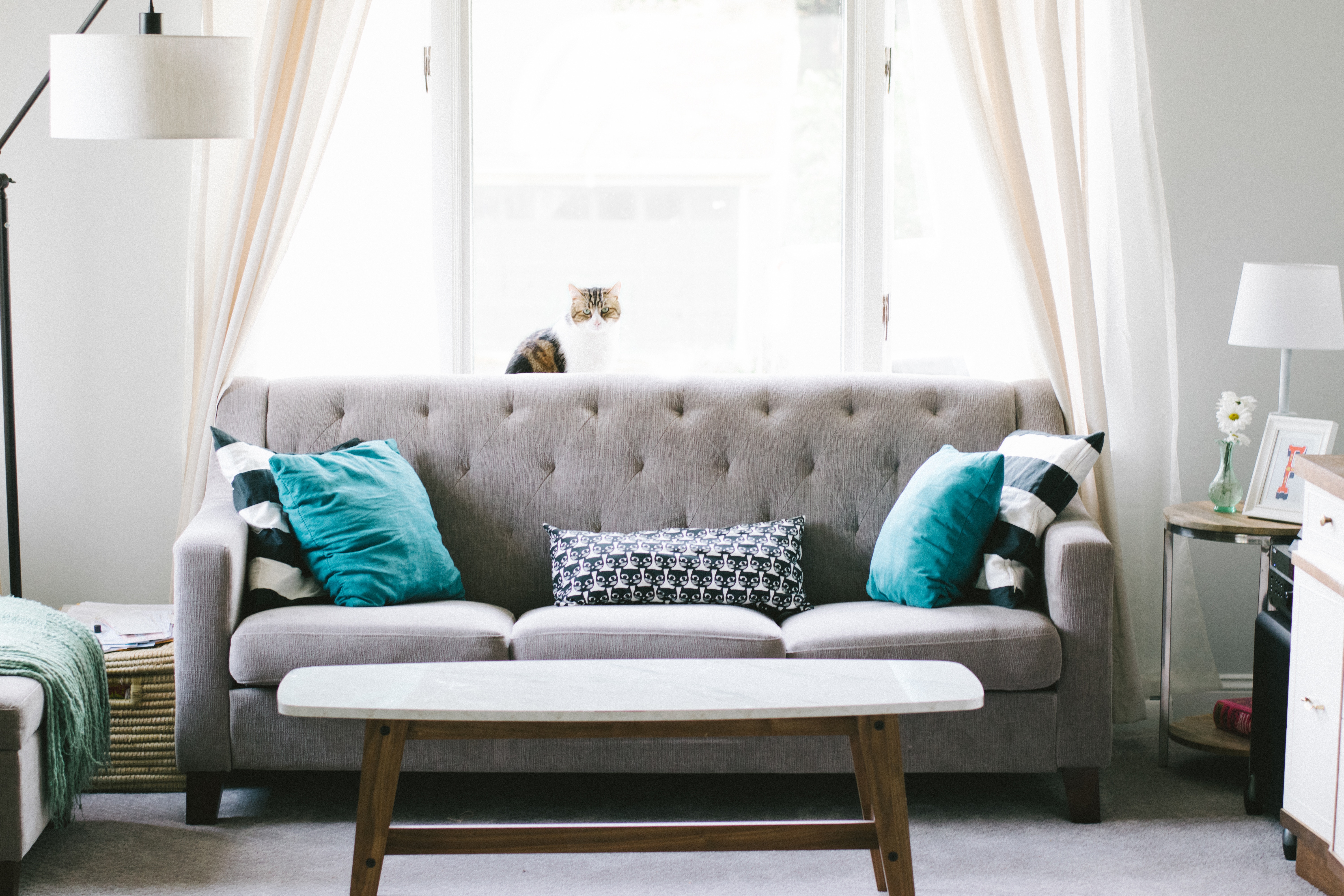grey and teal couch